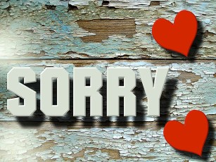 sorry-1138680_640